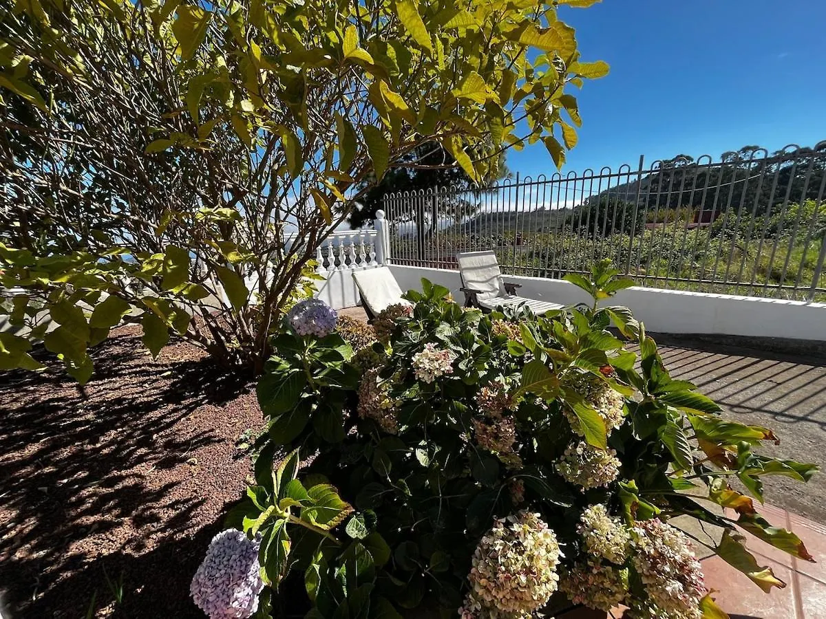 Tenerife Tacoronte Spain